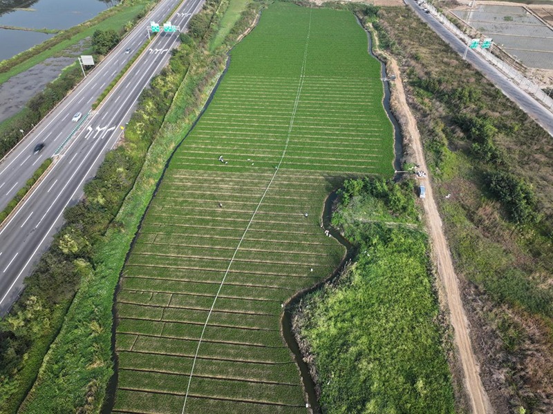 土(tǔ)地(dì)物(wù)業(yè)運營